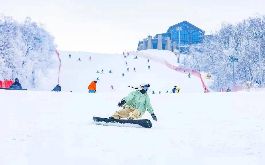 锦标赛, text, 万平方米 锦标赛, text, 万平方米